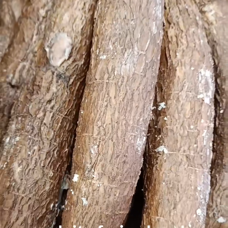 MANIOC – TUBERCULES (KG)