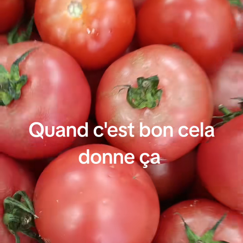 TOMATE FRAICHE (KG)