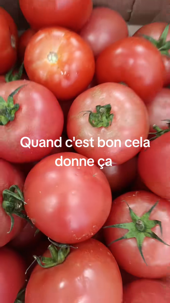Gros plan sur des tomates rouges bien mûres présentées en caisse au rayon frais de l'épicerie africaine La Linguere à Toulouse.
